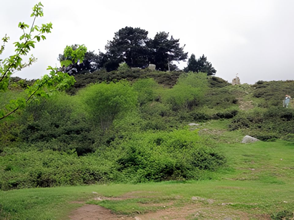 Nueve pinos en la colina de Garabandal